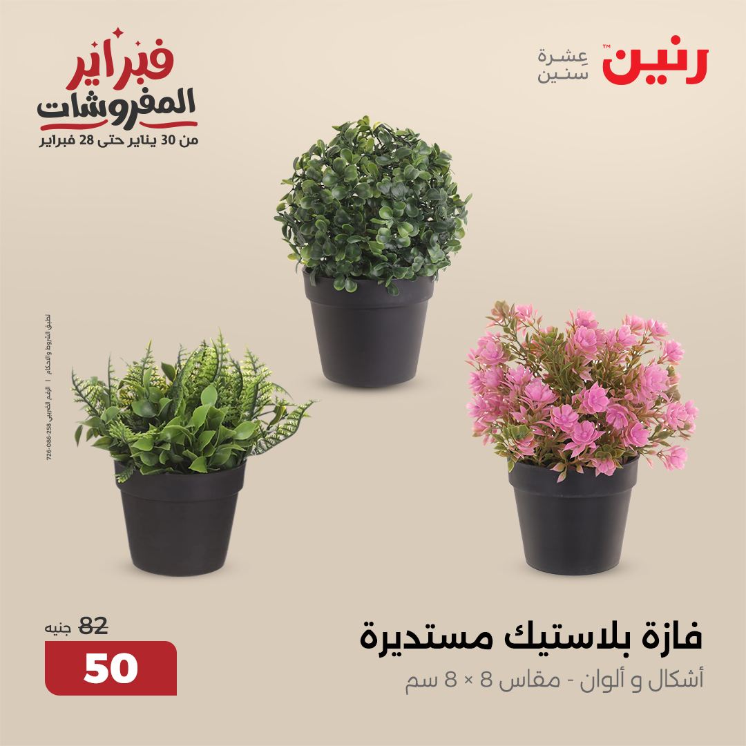 raneen offers from 25feb to 26feb 2025 عروض رنين من 25 فبراير حتى 26 فبراير 2025 صفحة رقم 77